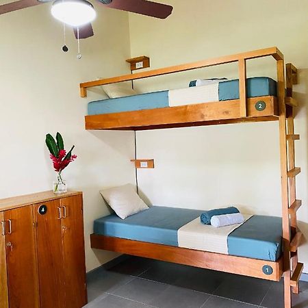 El Hostel Del Patio تورتوجويرو المظهر الخارجي الصورة