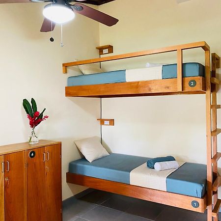 El Hostel Del Patio تورتوجويرو المظهر الخارجي الصورة