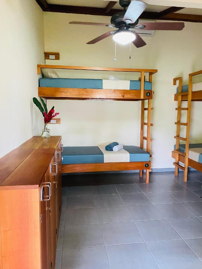 El Hostel Del Patio تورتوجويرو المظهر الخارجي الصورة