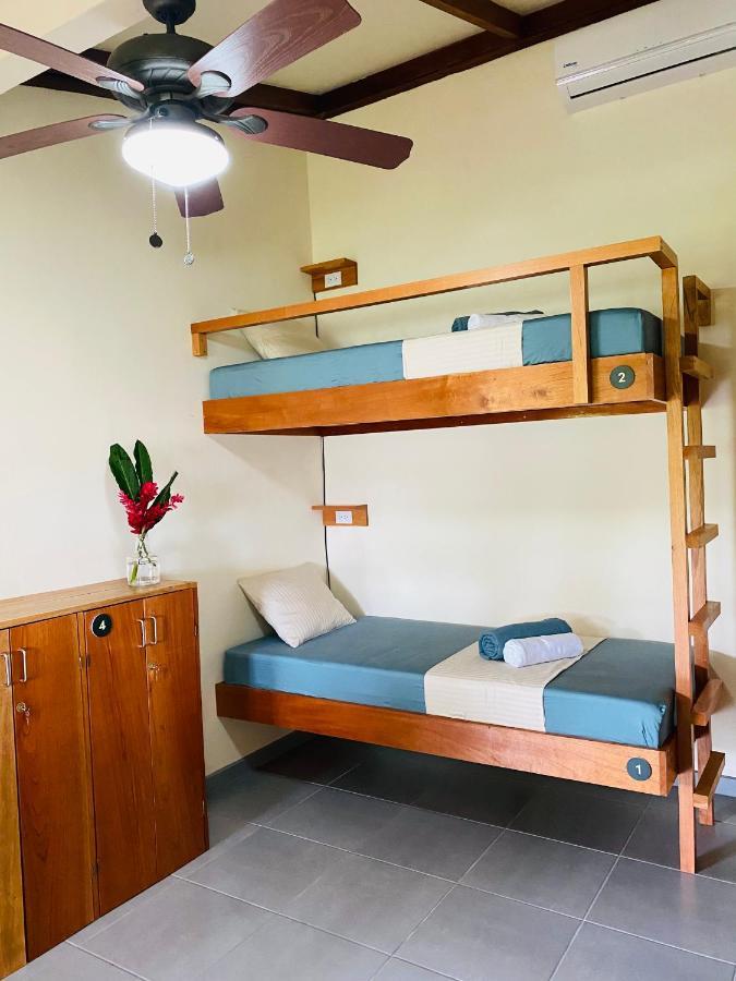El Hostel Del Patio تورتوجويرو المظهر الخارجي الصورة