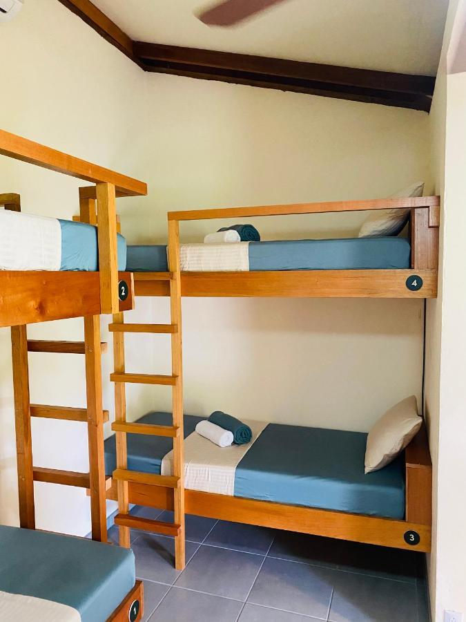 El Hostel Del Patio تورتوجويرو المظهر الخارجي الصورة
