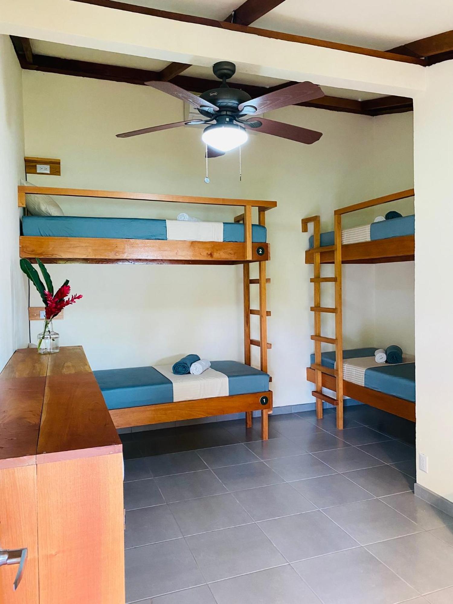 El Hostel Del Patio تورتوجويرو المظهر الخارجي الصورة